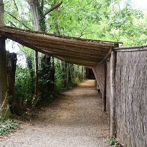 entrance to Kingfisher exhibit viewing tunnel