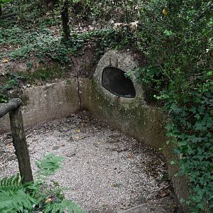 European Otter exhibit's den
