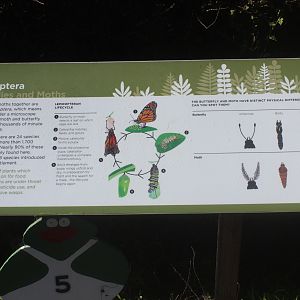 Signage for wild Lepidoptera species