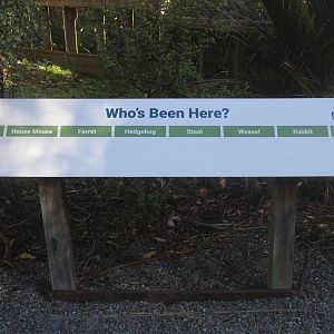 Sign (work in progress?) near Brown Teal aviary