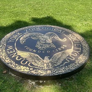 New York Zoological Society Seal