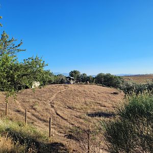 Domestic donkey exhibit -Sendaviva (2024)