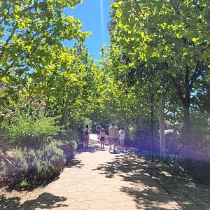 Road to entrance gates -Sendaviva (2024)