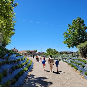 Road thorwards park gates -Sendaviva (2024)