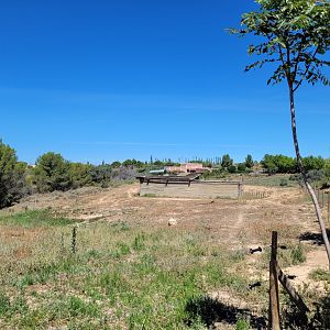 Domestic donkey exhibit -Sendaviva (2024)