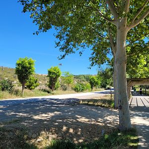 View of "Senda Ganadera" -Sendaviva (2024)