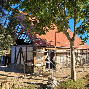 Soon to be new farm area -Sendaviva (2024)