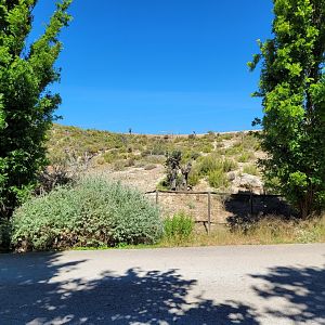 Empty livestock exhibit -Sendaviva (2024)