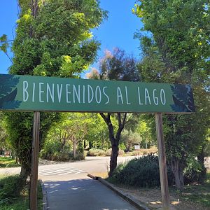 Entrance to the "Lago" area -Sendaviva (2024)