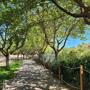 Road thorwards "Lago" area -Sendaviva (2024)