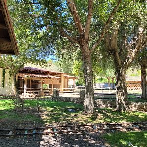 Valais black-necked goat, Hampshire sheep, Brahma chicken and Domestic goose exhibit -Sendaviva (2024)