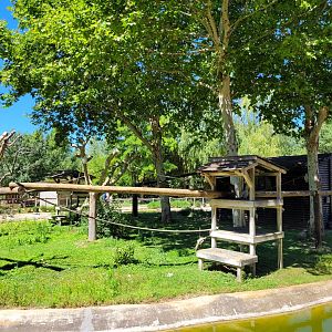 Tufted capuchin, Capybara and Red-eared slider exhibit -Sendaviva (2024)