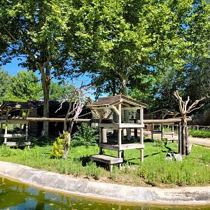 Tufted capuchin, Capybara and Red-eared slider exhibit -Sendaviva (2024)