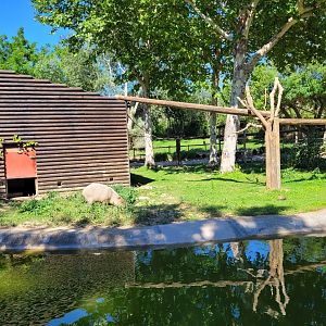 Tufted capuchin, Capybara and Red-eared slider exhibit -Sendaviva (2024)