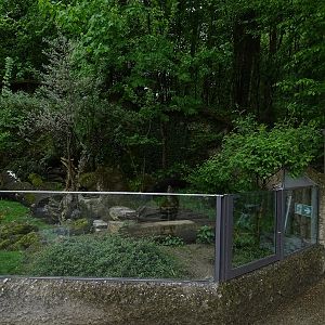 Banded mongoose enclosure