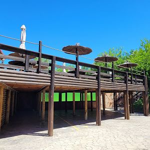 Eurasian otter underwater viewing area -Sendaviva (2024)