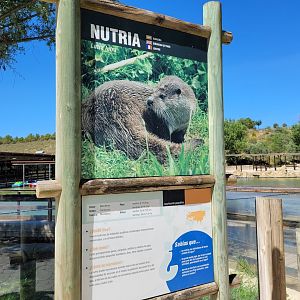 Old sign style -Sendaviva (2024)