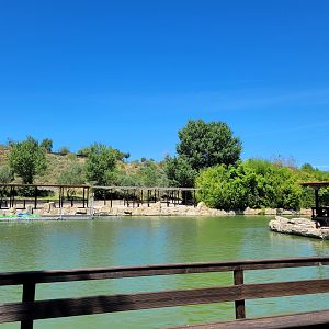 View of bumper boats lake -Sendaviva (2024)