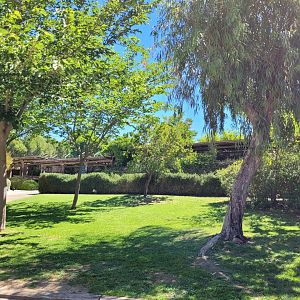 View thorwads big cats -Sendaviva (2024)