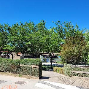 View thorwads otters -Sendaviva (2024)