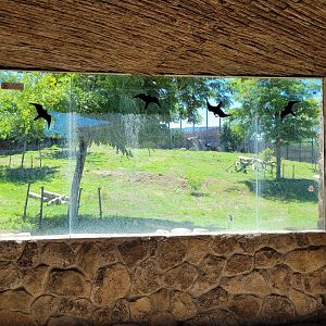 Lion viewing area -Sendaviva (2024)