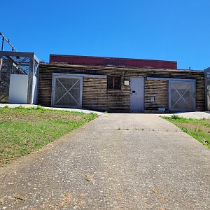 Lion and tiger house -Sendaviva (2024)