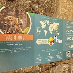 Amur tiger sign -Sendaviva (2024)