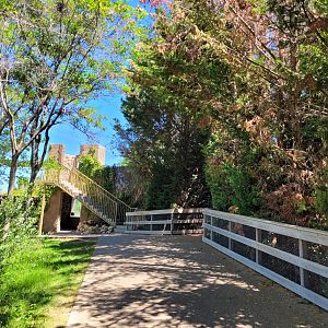 View past the tigers -Sendaviva (2024)