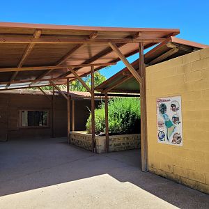 Entrance to "La Plaza de los Exóticos" -Sendaviva (2024)