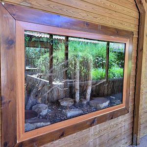 Burmese rock python exhibit -Sendaviva (2024)