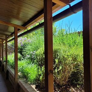 "La Plaza de los Exóticos" view -Sendaviva (2024)