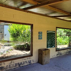 Tamarin and marmoset exhibits -Sendaviva (2024)