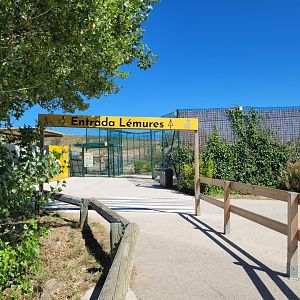 Road thorwards lemur exhibit -Sendaviva (2024)