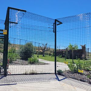 Ring-tailed lemur exhibit -Sendaviva (2024)