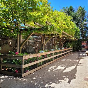 "Parrot's plaza" aviaries -Sendaviva (2024)