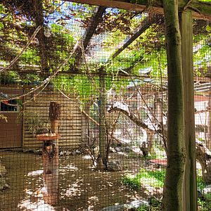 First psittaciformes exhibit -Sendaviva (2024)