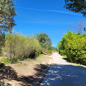 Road thorwards "Aves" area -Sendaviva (2024)
