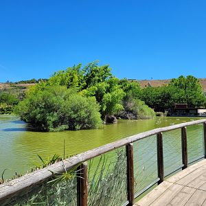 Central lake view -Sendaviva (2024)