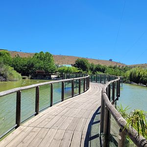 Bridge view -Sendaviva (2024)