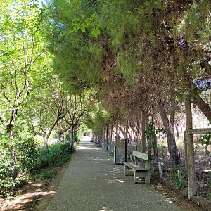 "Senda de los Herbívoros" view -Sendaviva (2024)