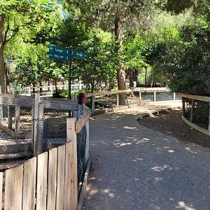 "Safari Fotográfico" view -Sendaviva (2024)