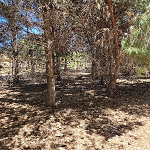 "Safari Fotográfico" view -Sendaviva (2024)