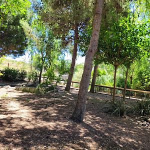 "Safari Fotográfico" -Sendaviva (2024)