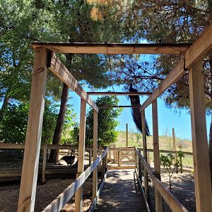 "Safari Fotográfico" -Sendaviva (2024)