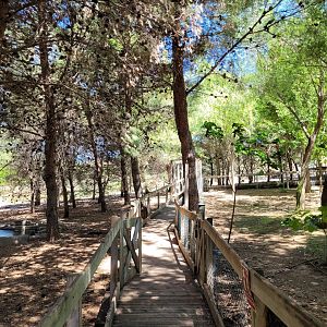 "Safari Fotográfico" -Sendaviva (2024)