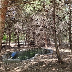 "Safari Fotográfico" -Sendaviva (2024)