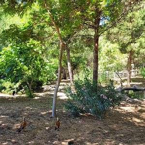 "Safari Fotográfico" -Sendaviva (2024)