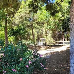 "Safari Fotográfico" -Sendaviva (2024)