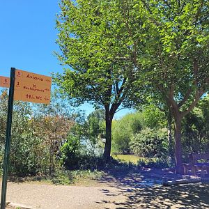 View around amphiteater -Sendaviva (2024)