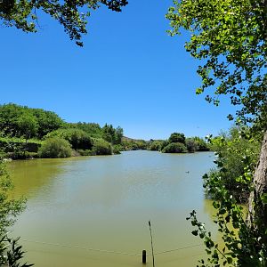 Main lake -Sendaviva (2024)